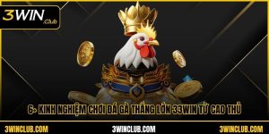 Kinh nghiệm chơi đá gà