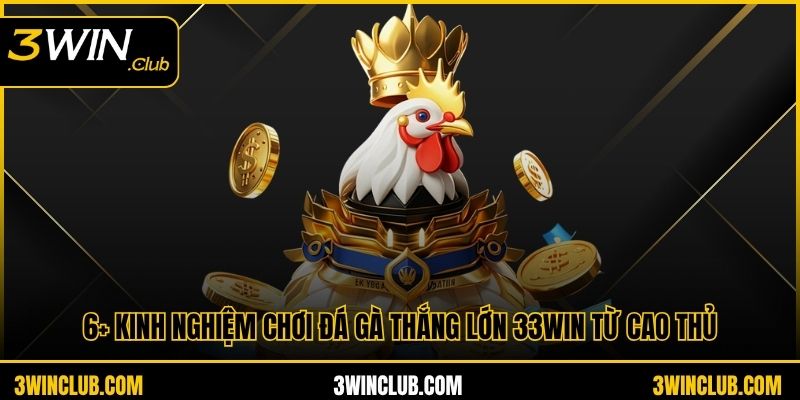 Kinh nghiệm chơi đá gà