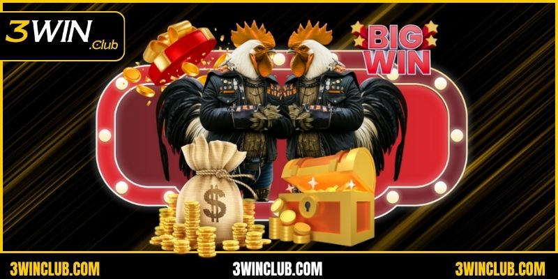 Đá gà Thomo gần đây là hình thức giải trí ăn khách